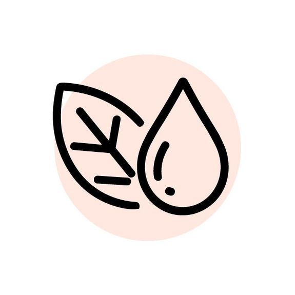 Premium, Clean Ingredients