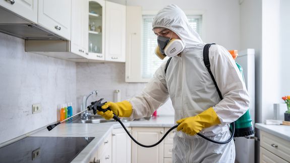 What should I do after the extermination service?