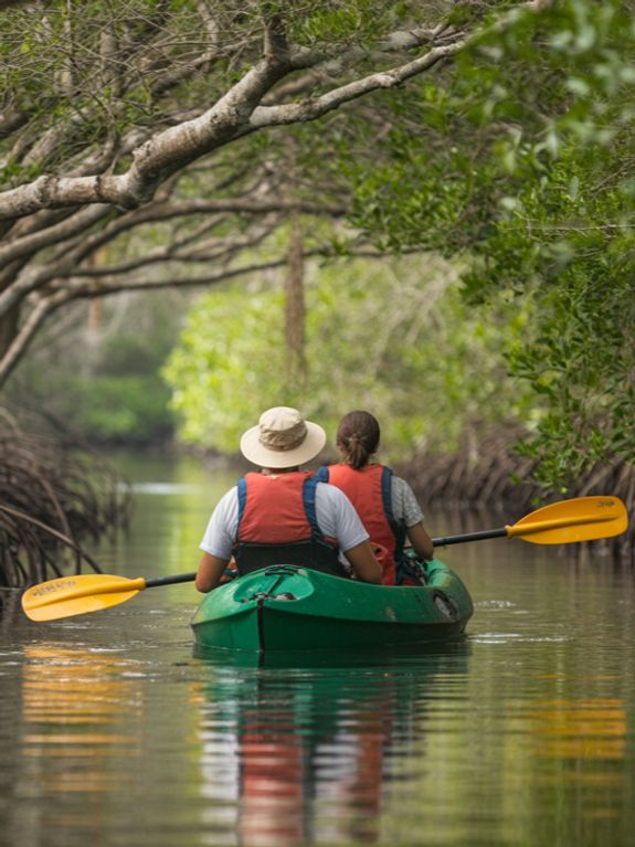 Guided Kayak Eco Tour