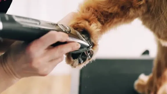 Experienced and Caring Staff