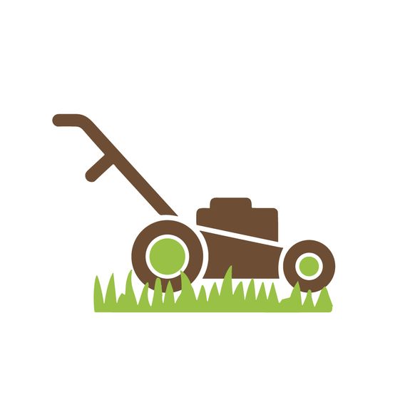 Expertise You Can Trust