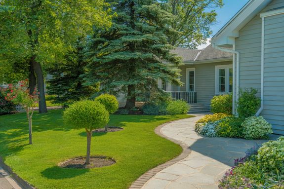 Green Trees Near Building