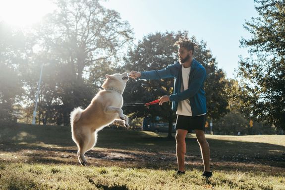 Are training sessions suitable for all breeds and ages?