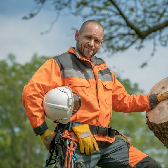 Expert Tree Services and Construction Solutions in Joplin, MO