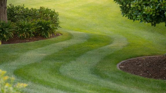 Person Using Lawn Mower