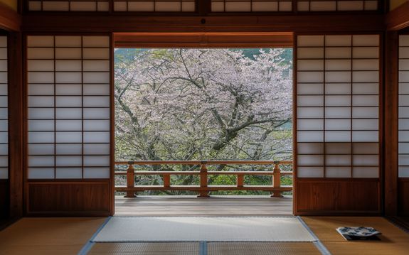 Experience Comfort and Warmth at Rich-wood Guest House in Brits, South Africa