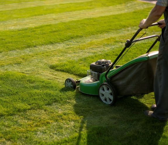 Free stock photo of grass, man, mowing