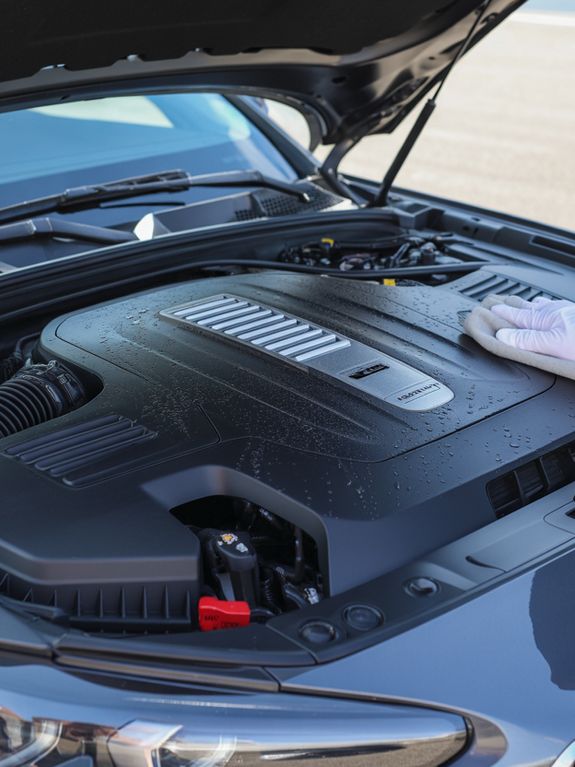 Engine Bay Cleaning