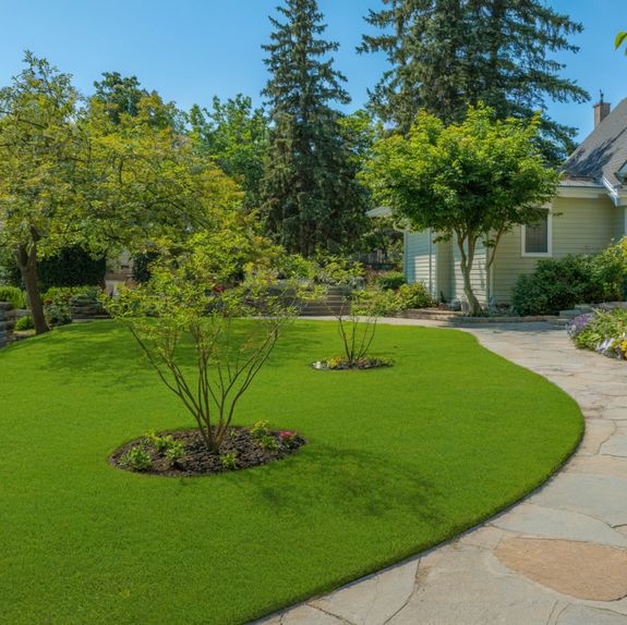 A Lawn Mower on the Grass 