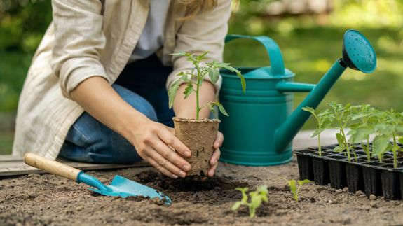 Exterior of residential suburban cottage with balcony surrounded with lush green plants and trees