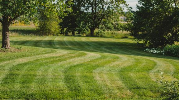 What services do you offer at Sunrise Lawncare and Landscaping?