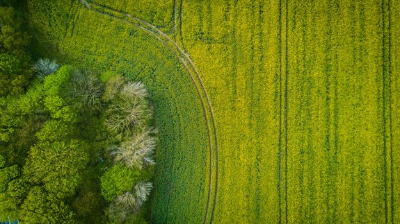 Real Estate Videography