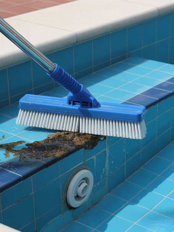 Brushing Walls & Steps