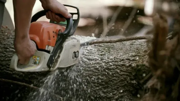 A Man Cutting a Wood Using Chainsaw