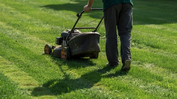 Sloane Lawncare: Premier Landscaping Services in the Ohio Valley