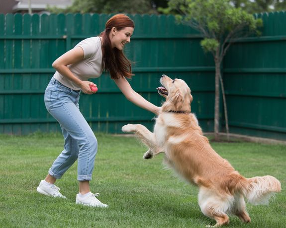 Meet Sarah — Your Pet’s New Best Friend