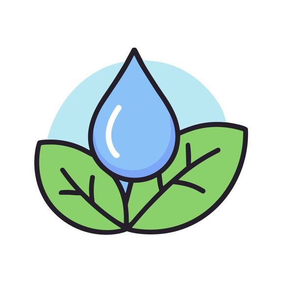 Eco-Friendly Pool Care