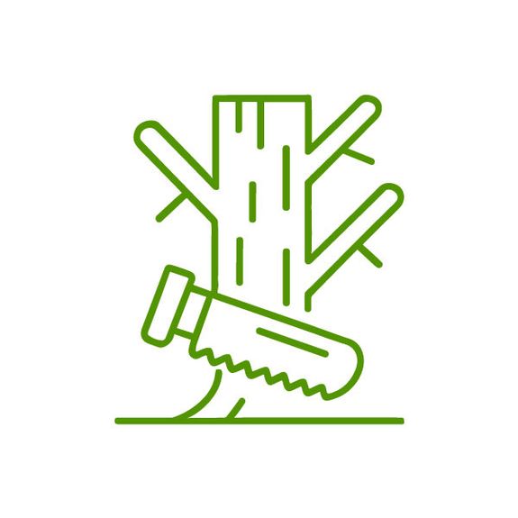 Tree Removal