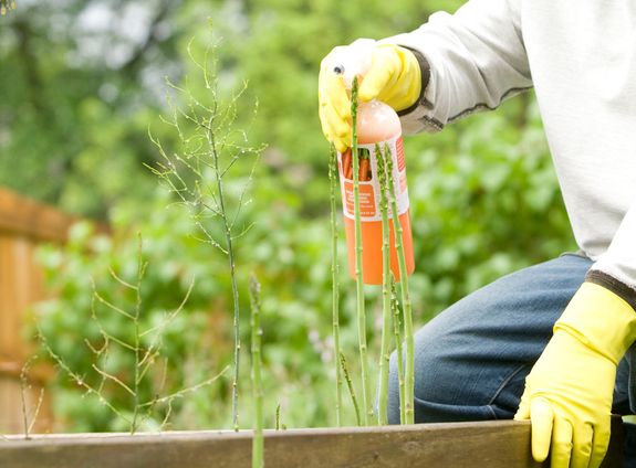 man in white long sleeve shirt and blue denim jeans sitting on brown wooden fence during