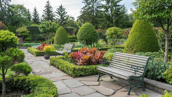 Keep Your Landscape Sharp with Professional Hedge Trimming