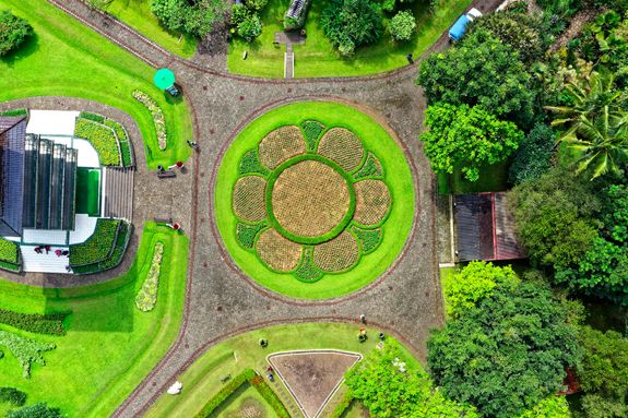 Aerial Photography Of Garden