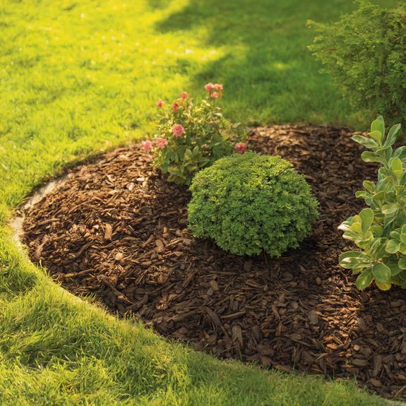 White and Gray Wooden House Near Grass Field and Trees