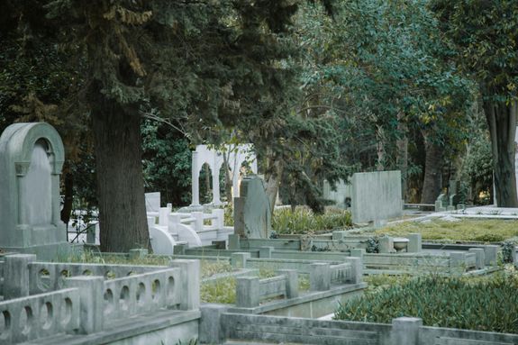 Cemetery with graves and overgrown trees in daytime