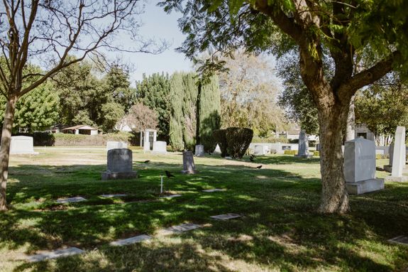 How can I arrange a consultation to discuss cremation options?