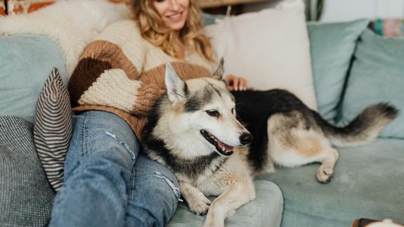 Peace of Mind for Your Pups, Right Here in Henderson