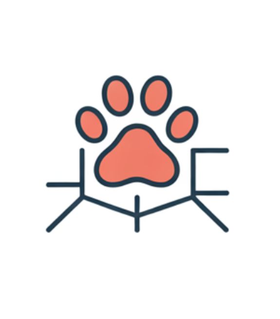 Neighborhood Focused