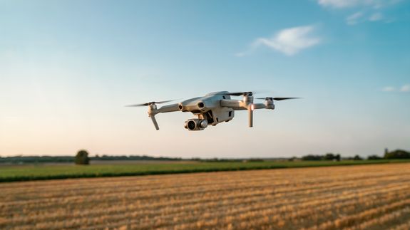 Gray Concrete Road Between Green Trees