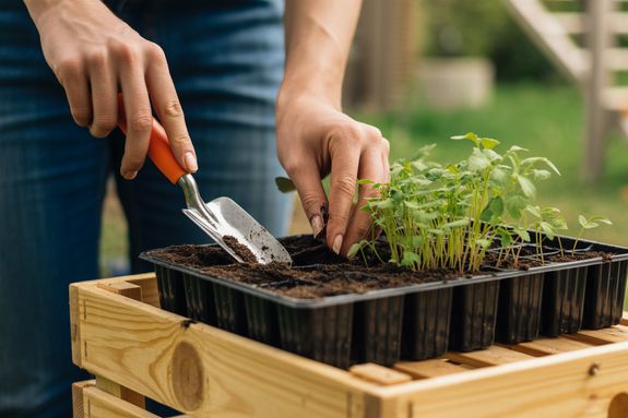 Eco-Friendly Waste Removal