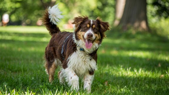 Experienced and Trustworthy