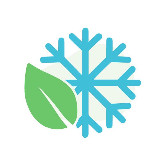 Eco-Friendly Options