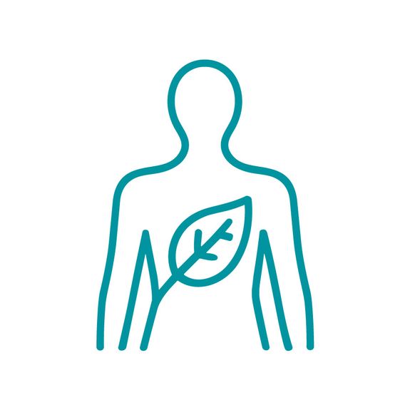 Whole-Body Wellness Approach