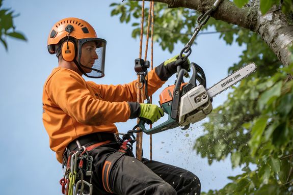 Nurturing Nature, One Tree at a Time