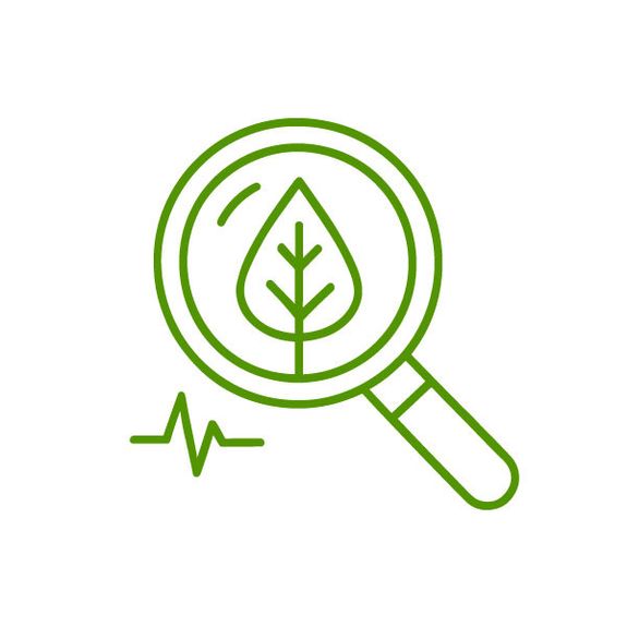 Tree Health Assessment