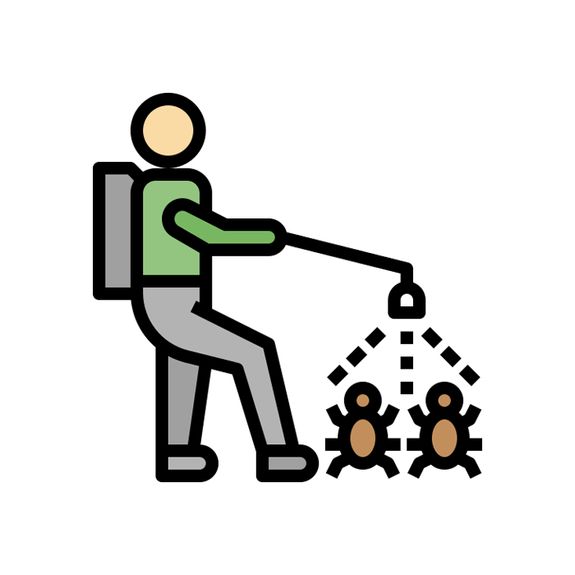 Experienced Professionals