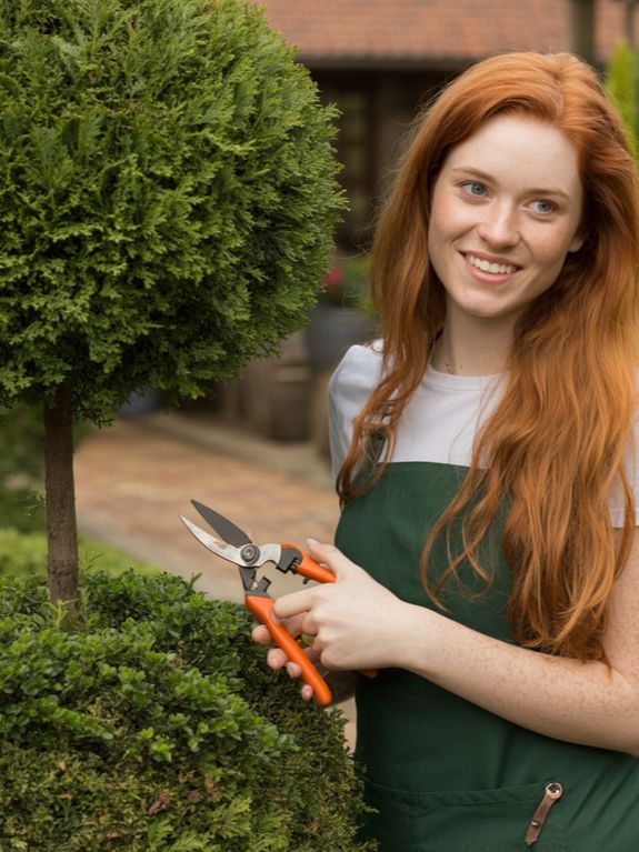 Tree and Shrub Care