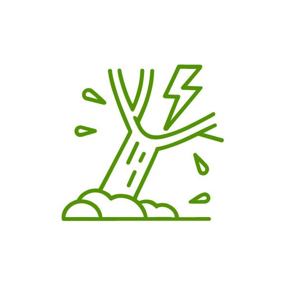 Emergency Storm Cleanup