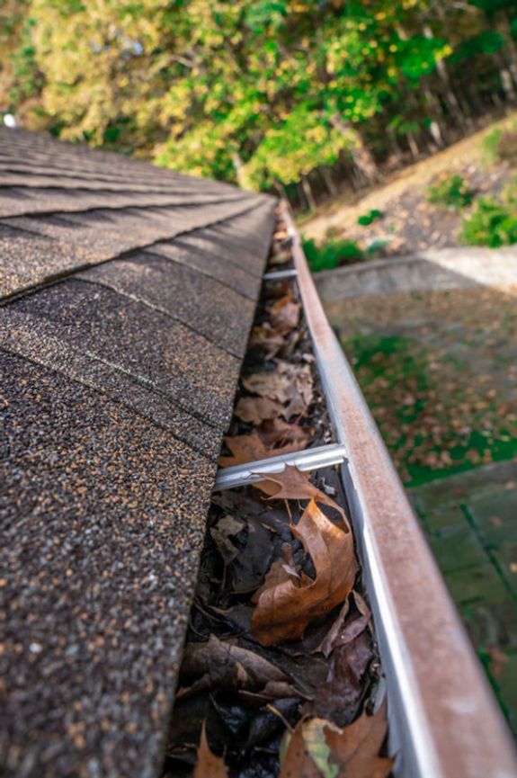 Locally Owned and Operated