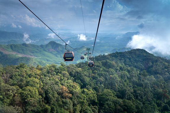 Landscape Photo of Trees and Mountains