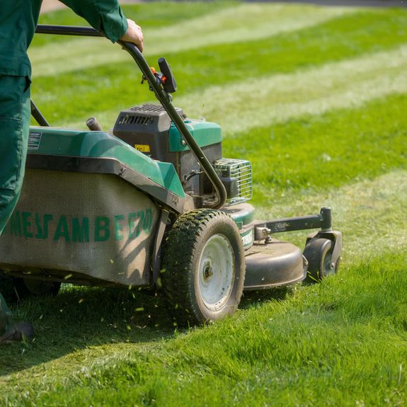 Aerial photo of a Blue New Holland Ford 8240 Tractor Cutting a hedge with a McConnel on farm in UK Co Antrim Northern Ireland 30-10-22 