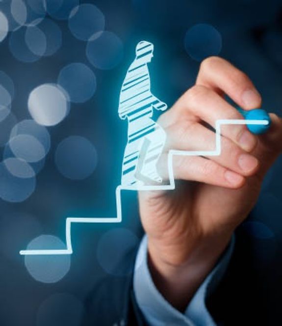 Academic & Career Experience