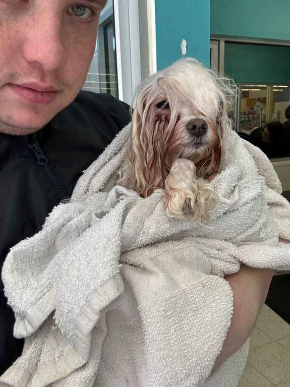 How long does a dog bathing session take?