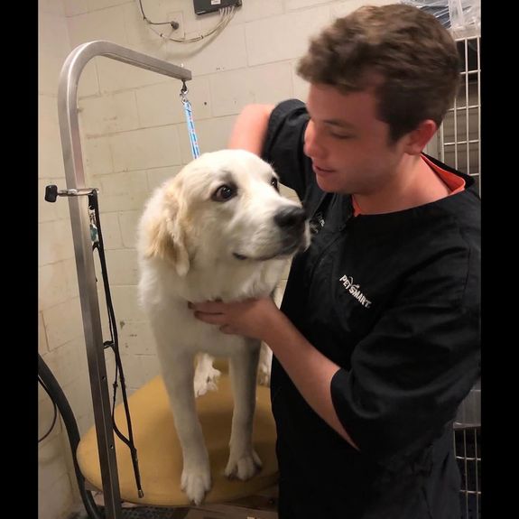 Passionate Pet Lovers