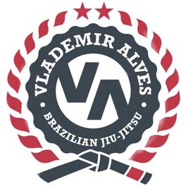 Vlademirbjj logo