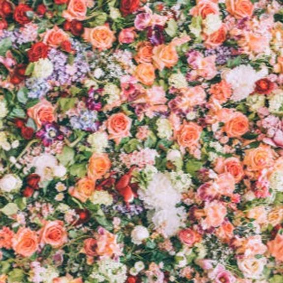 Have something specific in mind or planning a themed event?