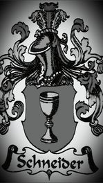 Schneider Services LLC  logo