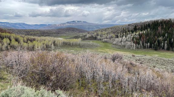 Transform Your Space with 360 Hauling LLC